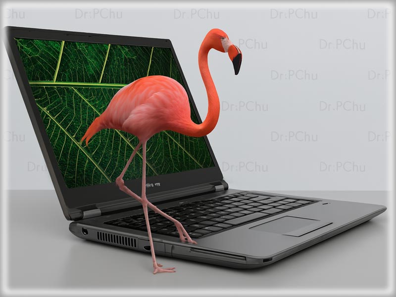 Kuponnal olcsóbb! Fujitsu LifeBook E5410 - Dr-PC.hu